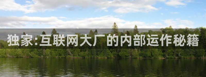黄宗泽黑料：独家:互联网大厂的内部运作秘